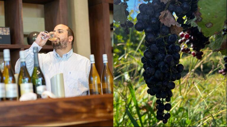 A solo 20 minutos del centro marplatense y 6 kilómetros del océano Atlántico, en Chapalal, se encuentra la primera bodega marítima del país. (Foto: gentileza bodega Costa&Pampa)