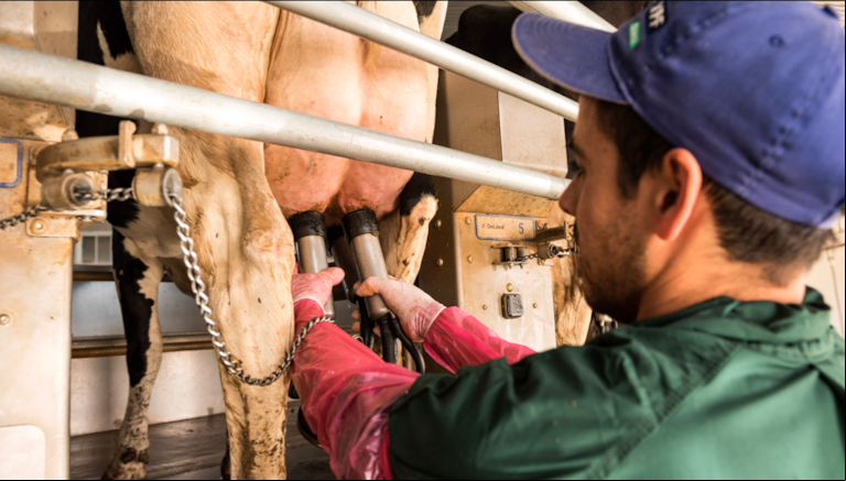 Adecoagro se destaca en la industria láctea, gestionando importantes establecimientos de producción que abastecen mercados locales e internacionales. (Foto: Adecoagro).