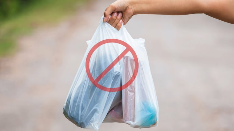 Adiós a las bolsas plásticas: la nueva tendencia reutilizable que busca cuidar el medio ambiente. (Foto: AdobeStock)