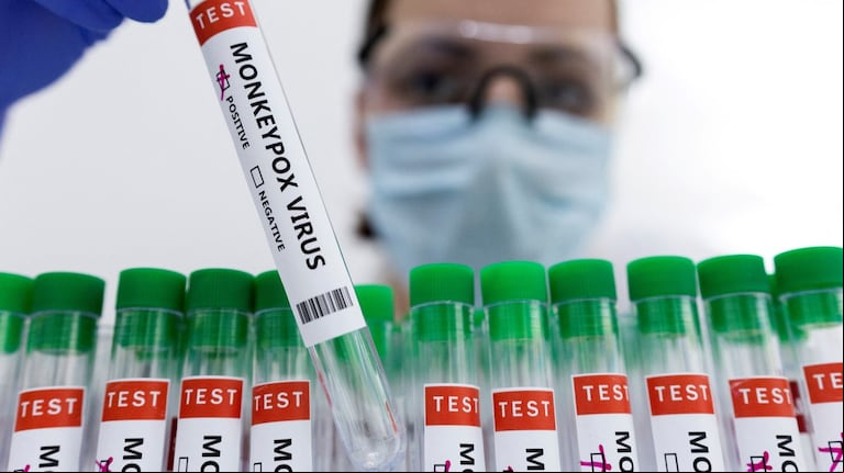 Aislaron a los pasajeros de un buque que venía de Europa por síntomas compatibles con la viruela del mono. (Foto: REUTERS/Dado Ruvic)