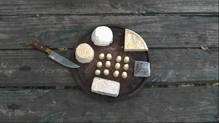 Algunos de los quesos de cabra que Elise y Fernando elaboran con recetas tradicionales de Francia. (Foto: TN/Agustina Ribó).
