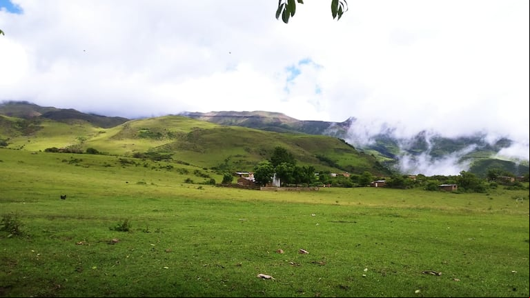 Alto Calilegua se encuentra dentro del Parque Nacional Calilegua, una de las reservas de yungas más grandes del país. Foto: Facebook Alto Calilegua.