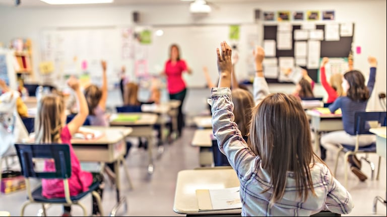 Anuncian revelaciones importantes de la memoria en el proceso educativo. (Imagen ilustrativa: Adobe Stock)