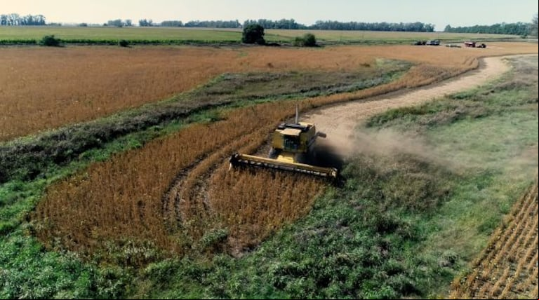 ARBA otorgará descuentos del 5% por buen cumplimiento, un 10% por pago anual anticipado y un 5% adicional por débito automático, lo que puede llegar a un ahorro total del 15%. (Foto: ARBA).