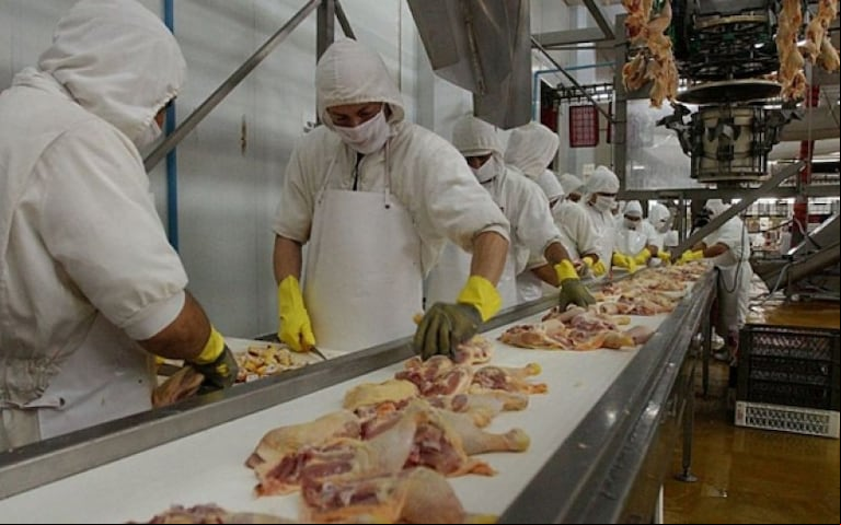 Argentina, a través del trabajo conjunto entre el sector público y privado, abrió los mercados de Filipinas y Corea del Sur, y se reabrió el de China. (Foto: SENASA)