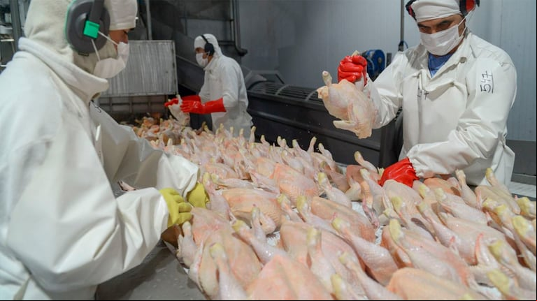 Argentina había reclamado en diferentes instancias, como la Organización Mundial del Comercio (OMC), al considerar que se trató de “una medida injustificada”.  (Foto: Secretaría de Agricultura) 