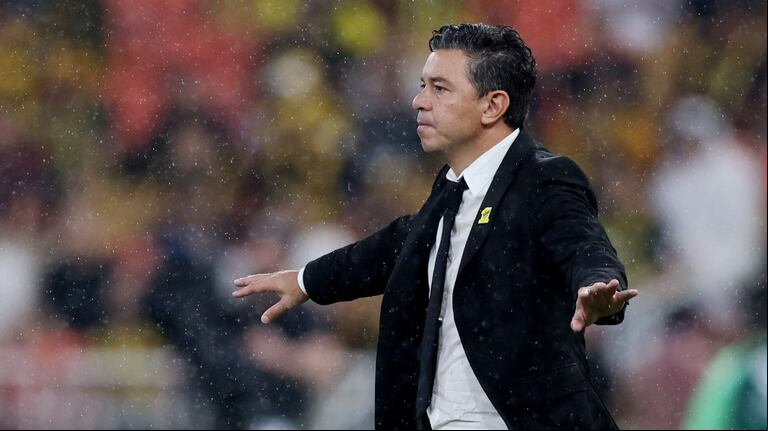 Aseguran que a Marcelo Gallardo le ofrecieron ser el entrenador de una selección sudamericana (Foto: Reuters)