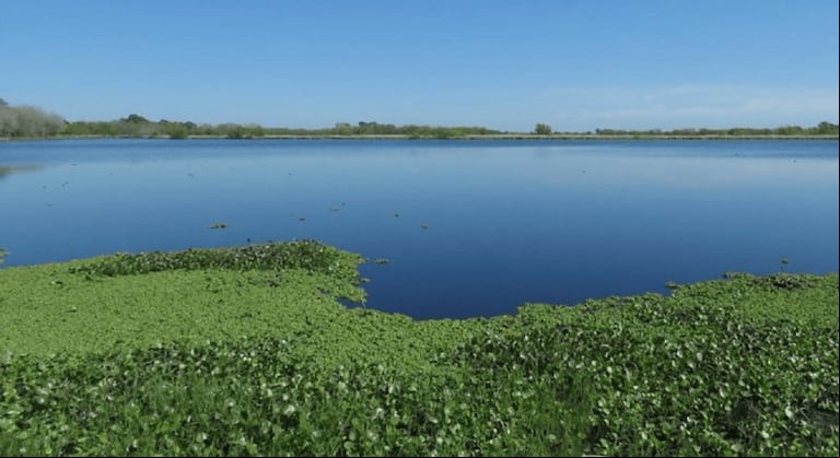 Así es la reserva natural de San Vicente (Foto: Reserva Natural Laguna de San Vicente).