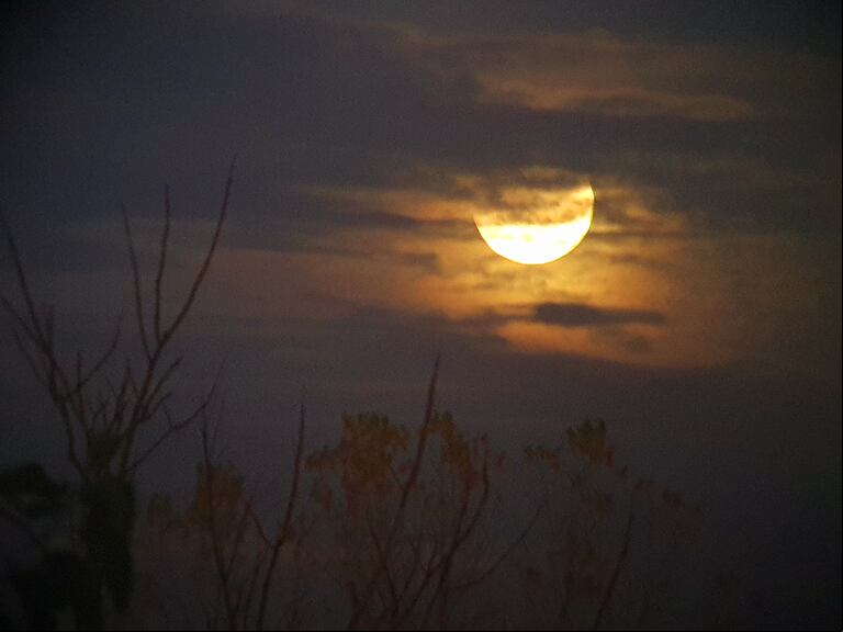 Así se vio el eclipse en González Catán en el partido de La Matanza. (Foto: TN y la Gente/
diego Meaurio).