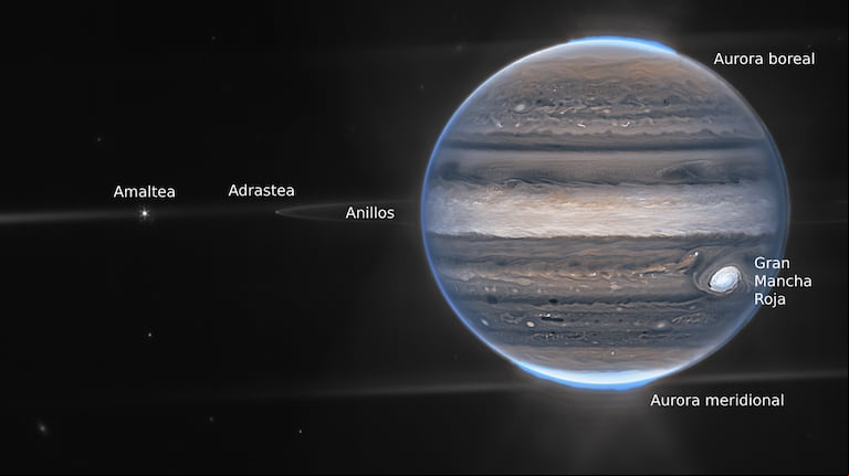 Auroras y anillos de Júpiter, junto a un par de sus lunas. (Foto NASA/TN)