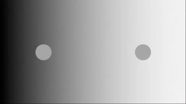 Científicos del MIT desafían la creencia de que ciertas ilusiones se producen exclusivamente en el cerebro