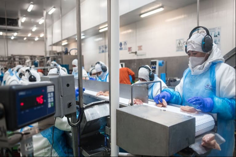 Cinco frigoríficos argentinos fueron habilitados para exportar carne aviar a Corea del Sur, tras la aprobación de las autoridades sanitarias del país asiático. (Foto: SENASA).
