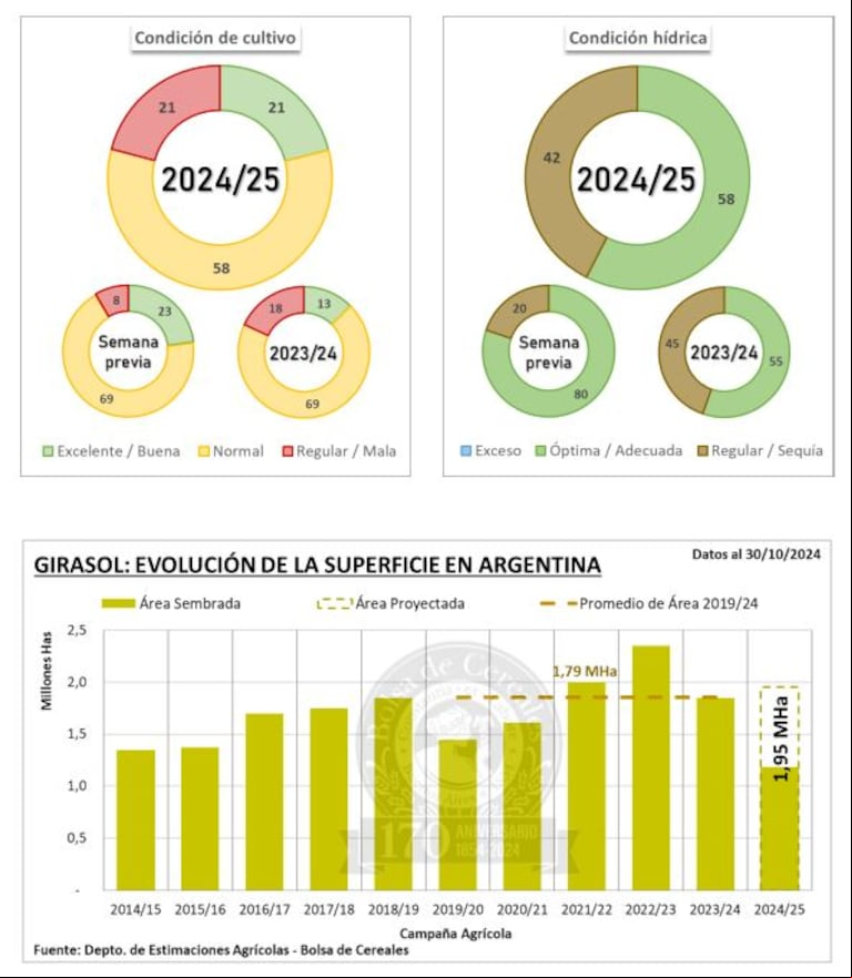 Comenzó la campaña de soja 2024/25 y se intensificó la siembra de maíz  