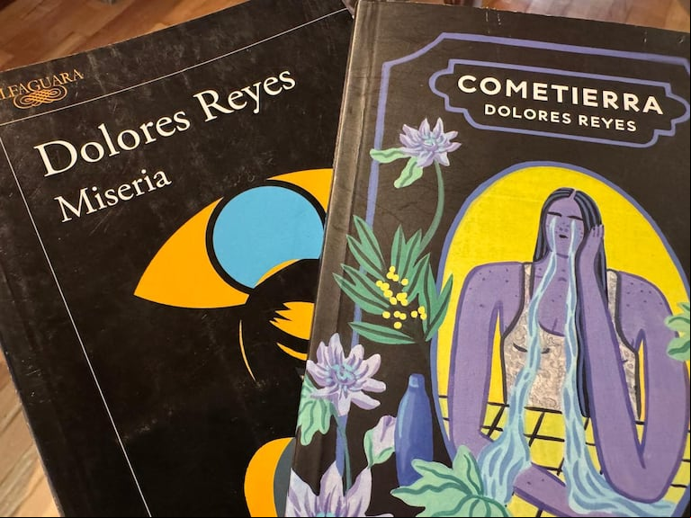 "Cometierra" se publicó en el 2019; "Miseria", cuatro años más tarde. (Foto: TN)