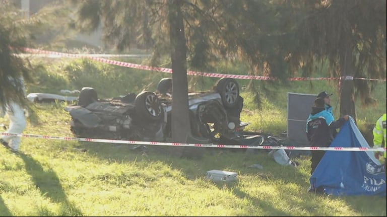 Cómo es el estado de salud del joven que sobrevivió al accidente en la Panamericana. (Foto: captura TN)