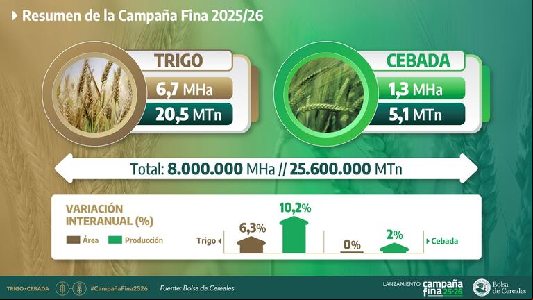 Con buen clima y tecnología estable, el trigo apunta a 20,5 millones de toneladas