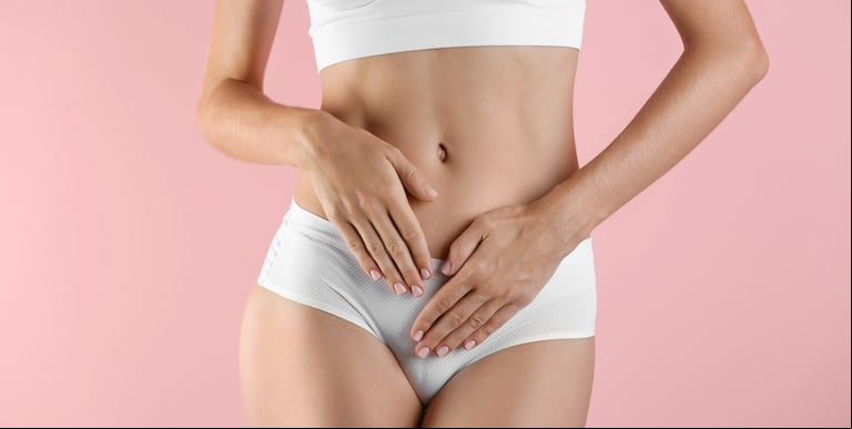Con la intención de celebrar sus formas y motivar el autoconocimiento, se exhiben algunos formatos de las vulvas. (Foto: Adobe Stock)
