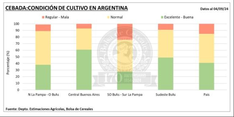 Con una mejora del 25,6% interanual, la cosecha de maíz finalizó en 46,5 millones de toneladas