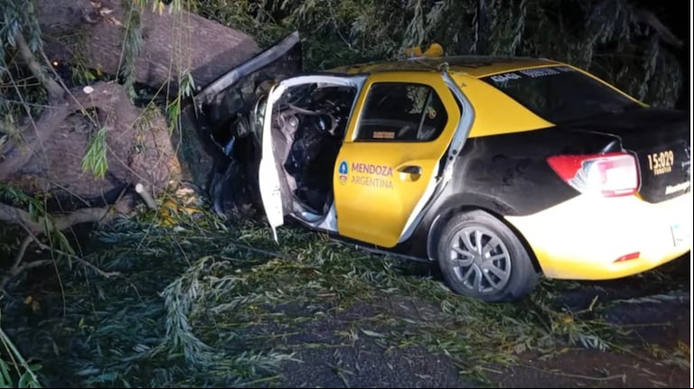 Conmoción en Mendoza: un taxista perdió el control de su auto, chocó contra un árbol y murió. (Foto: gentileza Los Andes)