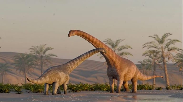 Conocé las características del dinosaurio descubierto en Río Negro. (Foto: conicet.gov.av)