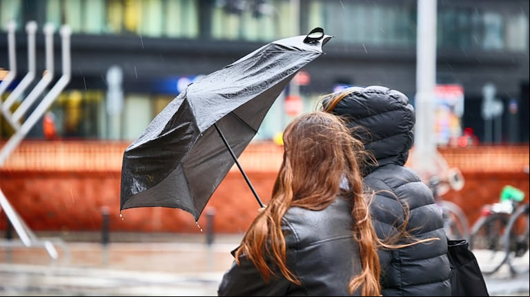 Conocé las zonas afectadas por fuertes vientos este domingo 11 de mayo. (Foto: Adobe Stock)