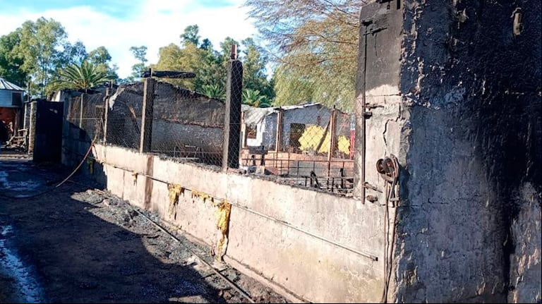 Criadero de cerdos de Carlos Casares que sufrió el incendio. (Foto: Casares Online)