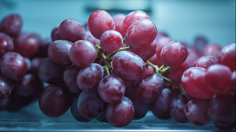 Cuál es el mejor lugar para conservar más tiempo las uvas. (Foto: Adobe Stock)