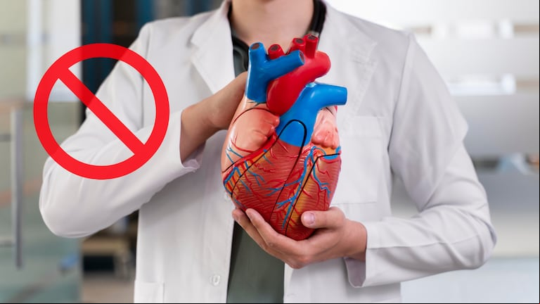 Cuál es el órgano más grande del cuerpo humano. (Foto: Freepik).