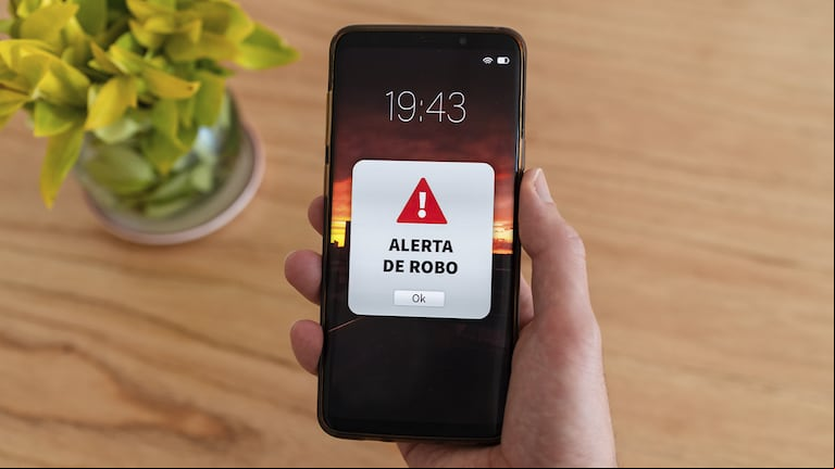 Cuáles son las recomendaciones para evitar que los ciberdelincuentes puedan acceder a tus datos. (Foto: Adobe Stock)