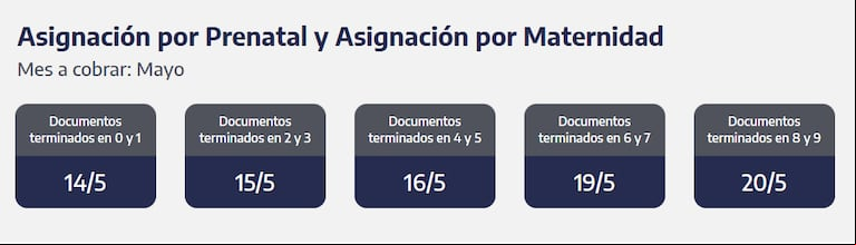 Cuándo se cobra la asignación por Maternidad. (Captura: ANSES)