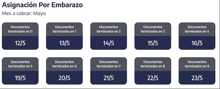 Cuándo se cobran la Asignación por Embarazo. (Captura: ANSES)
