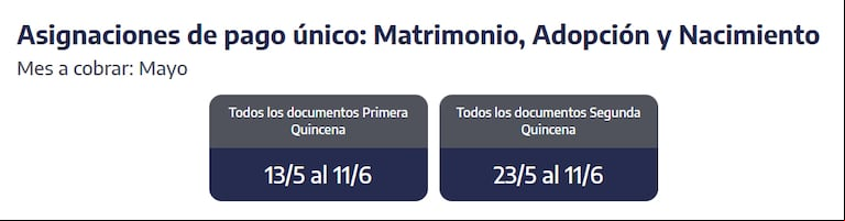 Cuándo se cobran las asignaciones de pago único. (Captura: ANSES)