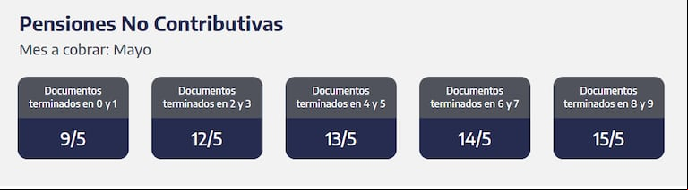 Cuándo se cobran las pensiones no contributivas de mayo. (Captura: ANSES)
