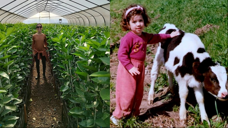 De la Ciudad al campo: el camino inverso que hizo Micaela Pérez (Foto: Linkedin Pérez Micaela).