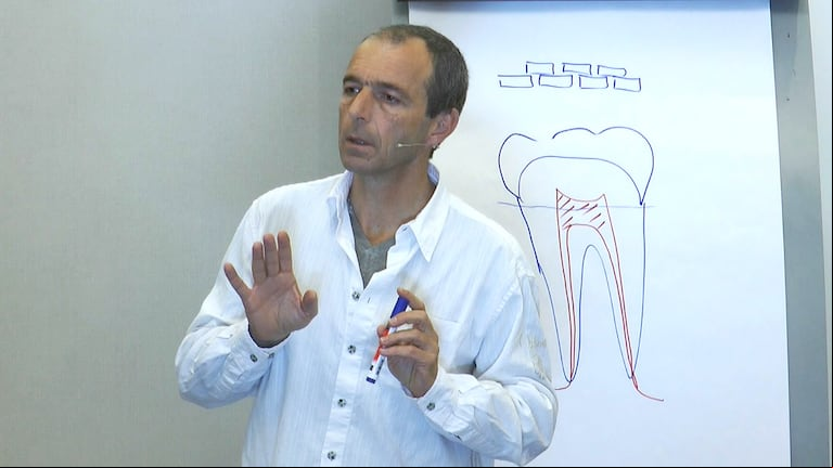 Descodificación dental: ¿tus dientes hablan de vos?