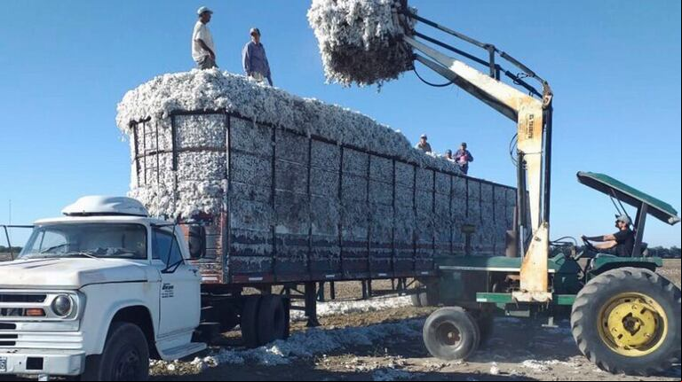 Desde Coninagro destacaron la diferencia entre lo que paga el consumidor y lo que percibe el productor. Foto: Coninagro.