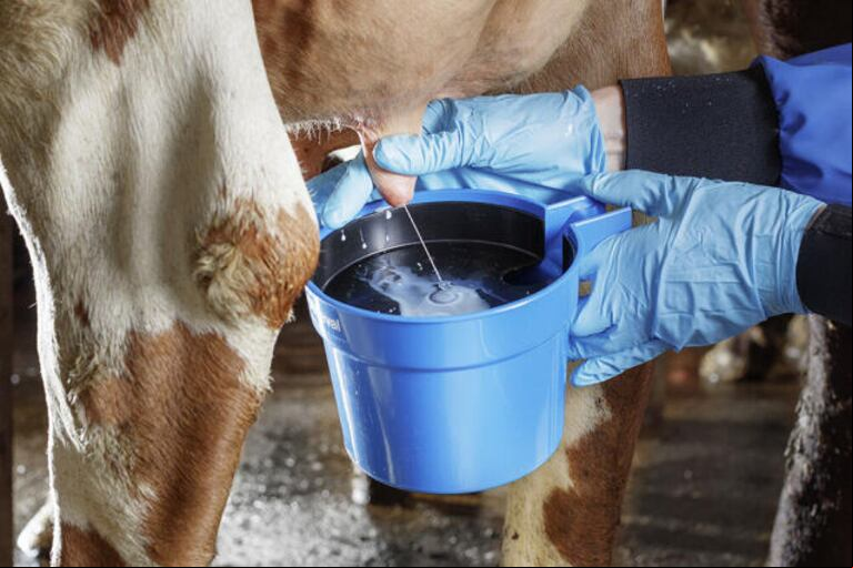 Desde la lechería expresaron preocupación por los altos costos de producción. (Foto: DeLaval).