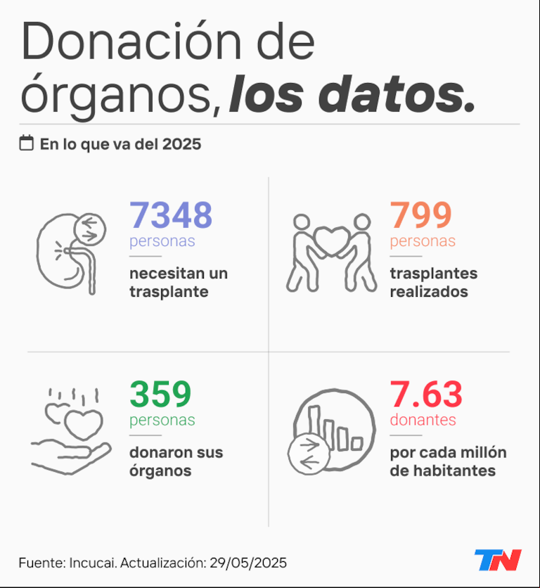 Día de la Donación de Órganos: testimonios de tres familias que eligieron dar vida en medio del dolor