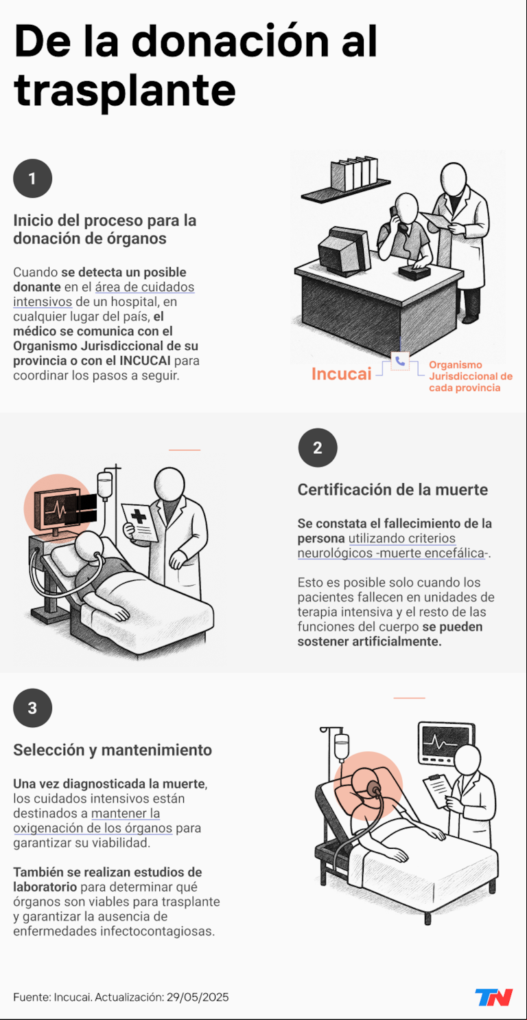 Día de la Donación de Órganos: testimonios de tres familias que eligieron dar vida en medio del dolor