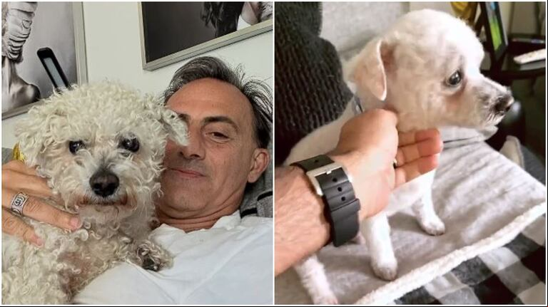 Diego Latorre recibió las cenizas de su querido perro Totó (Foto: IG @dflatorre).