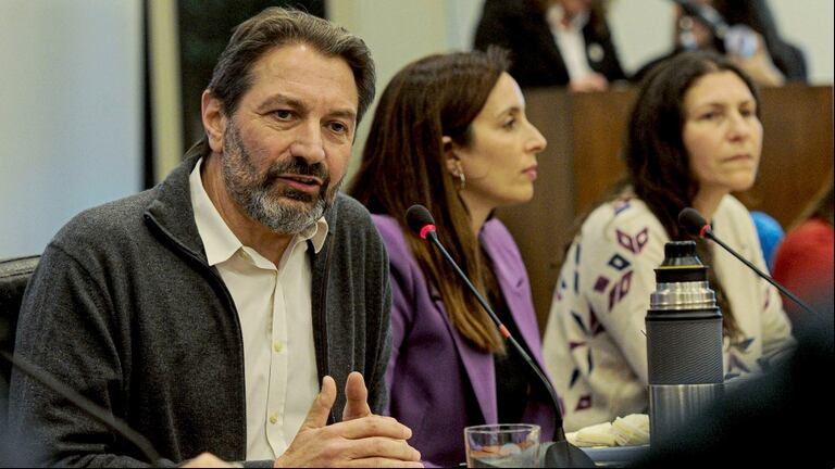 Diputado Pablo Carro (UxP) presidente de la Comisión de Comunicaciones (Foto: Télam).