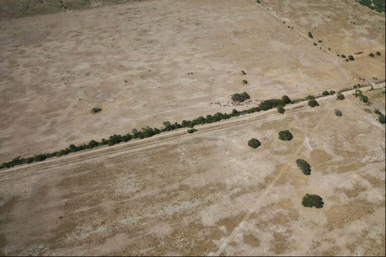 Economía declaró la emergencia agropecuaria en Chaco y Santa Fe tras el impacto de la sequía y el calor extremo. (Foto: SAGyP).