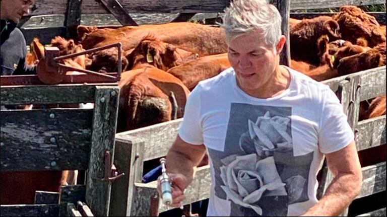 El abogado Fernando Burlando suele ocuparse de algunas tareas campestres, como la vacunación del ganado. (Foto: Instagram burlandofernando)