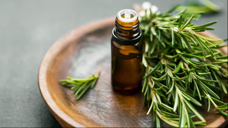 El aceite de romero tiene varias propiedades. (Foto: Adobe Stock)