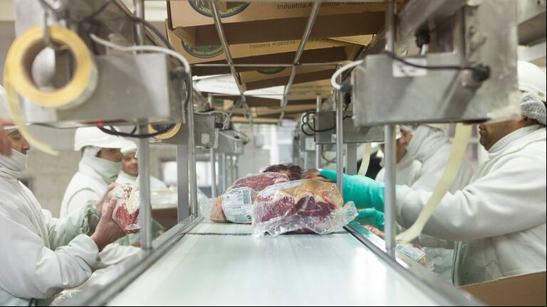 El bife ancho, uno de los cortes más apreciados de la carne vacuna argentina, destacó en las exportaciones debido a su calidad y sabor, siendo especialmente demandado en mercados internacionales como la Unión Europea y Estados Unidos. (Foto: SENASA).