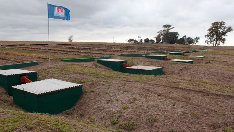 El cierre de agencias de extensión del INTA en Entre Ríos deja sin asistencia técnica a productores y pone en riesgo el desarrollo agrícola en la región. (Foto: El Once).