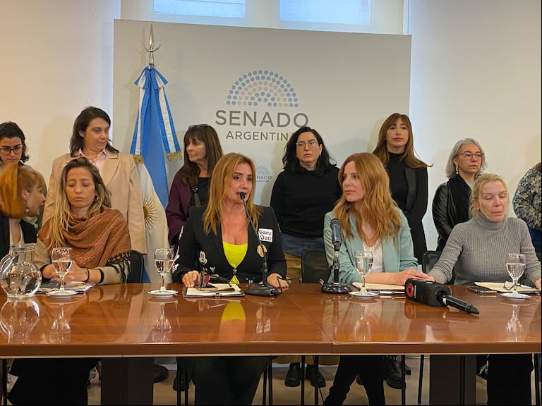 El colectivo Periodistas Argentinas reveló fuertes testimonios de acoso contra Pedro Brieger. (Foto: TN / Agustina Acciardi).