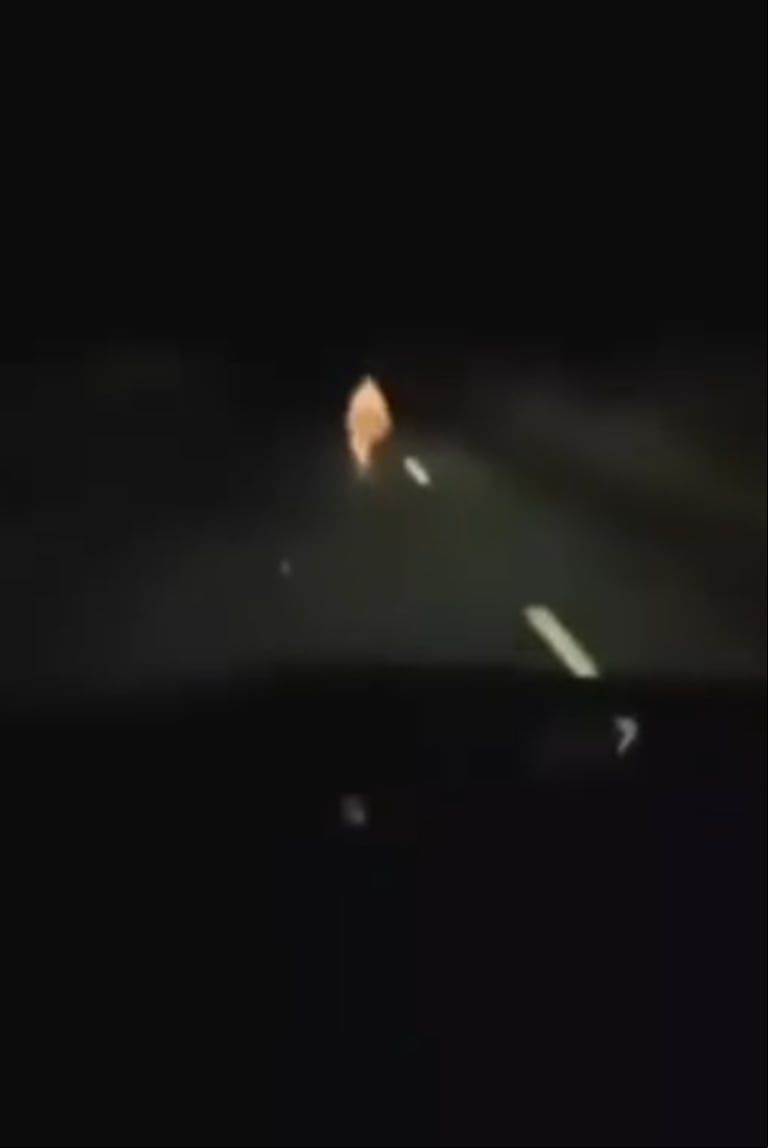 El conductor del camión se asustó al ver la situación y escapó como pudo. (Captura: X/@PandaDelAmor17)