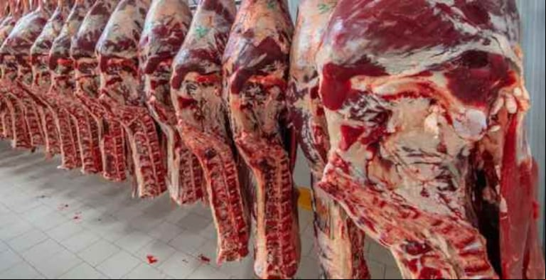 El consumo de carne vacuna cayó un 15% en 2024, mientras que la demanda de carne de pollo creció un 8%.(Foto: IDAA).
