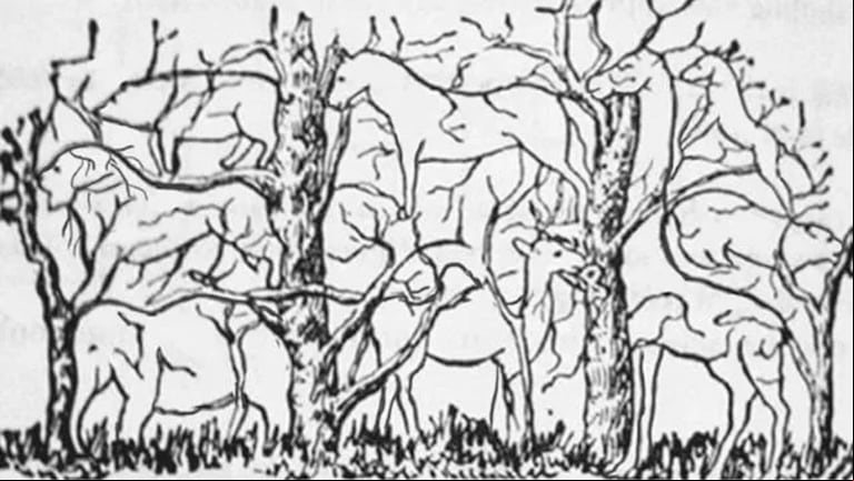 El dibujo es en blanco y negro, lo que obliga a agudizar la visión. (Facebook)